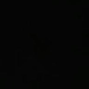 Meet your Posher, Rene